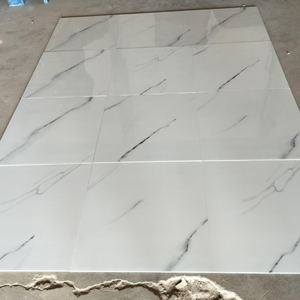 Baldosa de Porcelana Esmaltada de 60x60 cm, Aspecto Mármol, Acabado Pulido, Borde Rectificado, Uso Interior y Exterior - Product Image 3