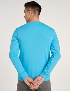 2024 manches longues hommes sweats O cou hommes sweats 100% coton haute qualité prix pas cher sweats - Product Image 4