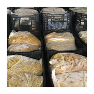 Pulpe et graine de fruit de la passion congelées en gros-Qualité d'exportation supérieure pour les fabricants de jus et les distributeurs de services alimentaires 2025 - Product Image 5