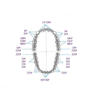 คีมถอนฟันสแตนเลสแบบอเมริกัน151 - Product Image 5