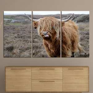 Arte en lienzo de ganado de las Tierras Altas: decoración de pared para casa de campo, obra de arte impresa en lienzo, JUEGO DE 3 LIEÑOS - Product Image 1