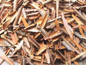 KABC Premium Dried AD Process Cassia 3%-3.5% Oil Content for Seasoning <b>Spices</b> <b>Production</b> Contact WS +84 865 216 698 (Ms. Lucy) - Product Image 4