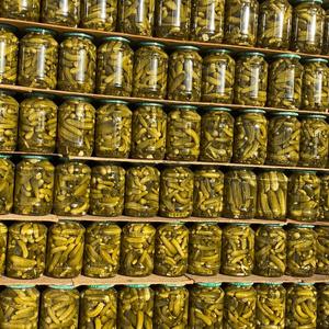 Concombre de haute qualité pour la production de cornichons, la préparation alimentaire et l'industrie de transformation, Vietnam - Product Image 2