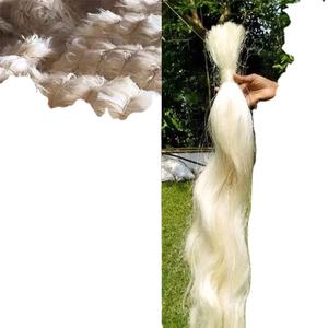 Fibra cruda UG SSUG Sisal Fibra que podemos suministrar - Product Image 1