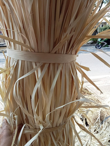 Feuilles de corypha lecomtei à vendre en petite quantité livraison rapide feuille de palmier corypha lecomtei - Product Image 3