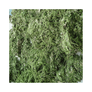 ผงสาหร่ายสีเขียวธรรมชาติจากเวียดนาม-ส่วนผสมบริสุทธิ์และปลอดภัยสำหรับอาหารสัตว์เพื่อใช้ในการทำปุ๋ย - Product Image 4