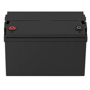 Batería de Estado Sólido LiFePO4 de 12V 12.8V 100Ah, Precio de Fábrica, Almacenamiento de Energía, Baterías de Iones de Litio con BMS, 10000 Ciclos, 3 Años de Garantía - Product Image 5