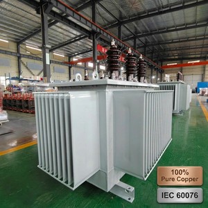 Transformador de Distribución Montado en Poste APEX S13 50-2500kVA 11-33kV/415V Trifásico 50Hz Cobre Puro C5 Anticorrosión para Redes Eléctricas - Product Image 2