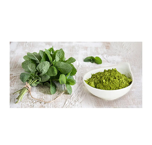 Superior Quality Water Soluble Mint Leaf Herbal Extract Powder Health Food Grade 25 KG <b>Polybag</b> Packaging Made India Worldwide - Product Image 1