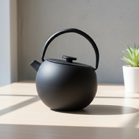Théière en fonte émaillée de style japonais, durable, 300ML, 3009443-0.3, pour absorption de thé, en acier inoxydable, vente en gros Filtre à thé en maille
