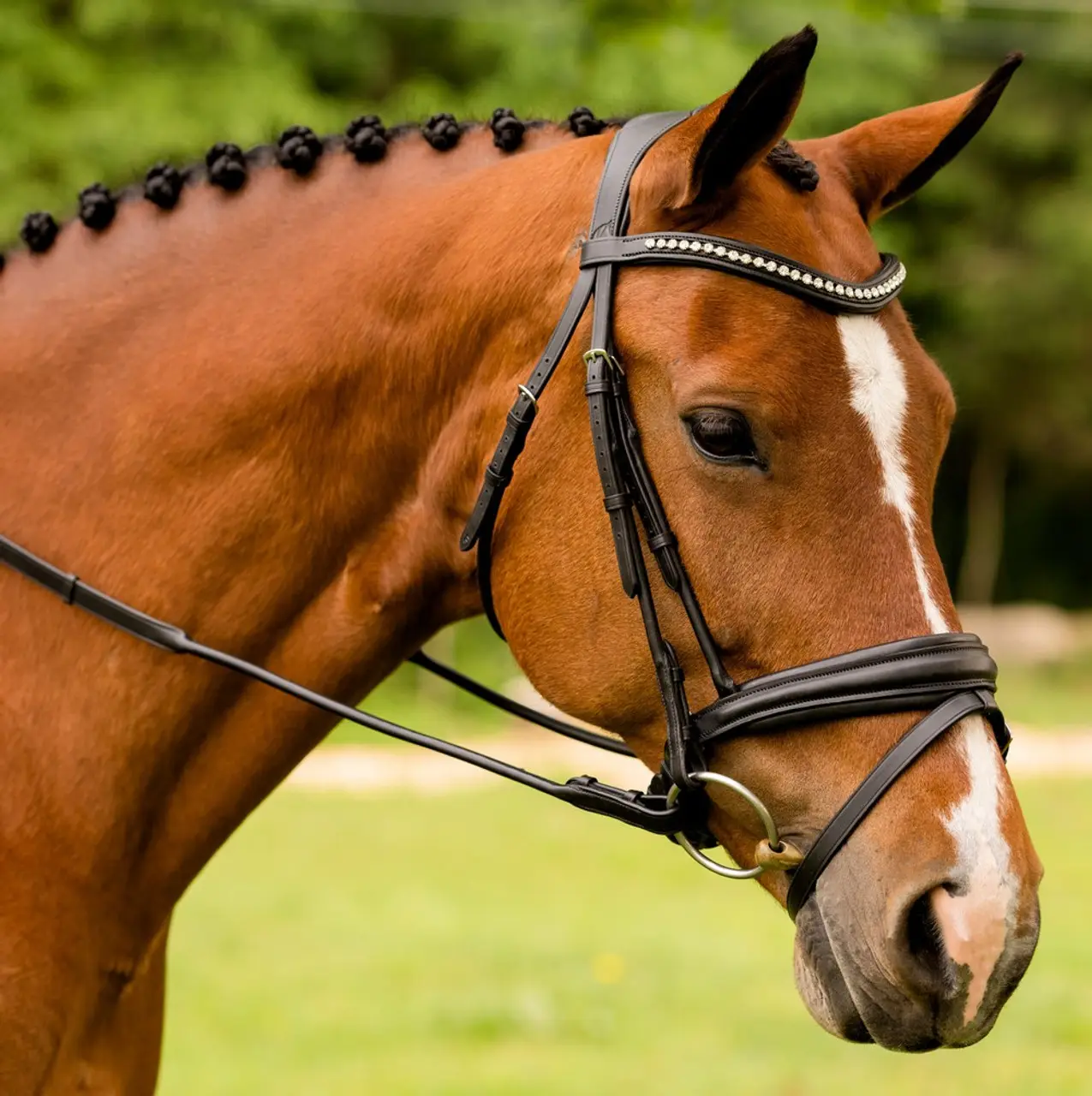 Productos de brida con filete enrollado, correa de carreras de cuero trenzado duradero, entrenamiento para caminar para suministros para mascotas medianas y grandes