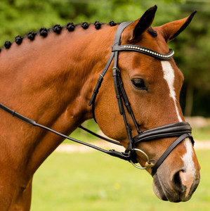 Produits de bride à mèches roulées Laisse de course en cuir tressé durable Entraînement à la marche pour fournitures pour animaux de compagnie de taille moyenne - Product Image 1