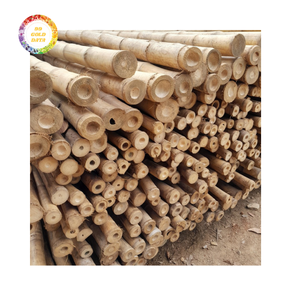 Vara de Bambú para Proyectos al Aire Libre, Enrejado de Jardín y Diseño Artesanal con Gran Durabilidad y Precio Atractivo - Product Image 1