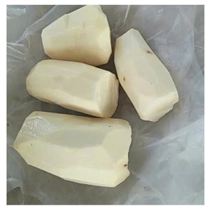 MANIÈRE DU VIETNAM PRÊT CONGELÉ POUR L'EXPORTATION QUANTITÉ EN VRAC DE PRIME À CHAIR BLANCHE QUANTITÉ DISPONIBLE - Product Image 1