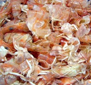 Proveedor vietnamita de cáscara de camarón seca sin cabeza para la producción de quitina para alimentación animal | Contacto MS.THAO + 84 904183651 - Product Image 6