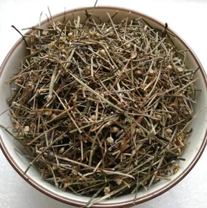 สมุนไพรเฮดิโอติส ดิฟฟิวซา (Oldenlandia Diffusa) แห้ง ขายส่ง วัตถุดิบสมุนไพรคุณภาพส่งออก - Product Image 4