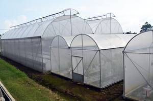 Malla Protectora para Plantas AgroPro de HDPE (Monofilamento) contra Rayos Ultravioleta y Plagas - Apta para Plantaciones, Agricultura, Pesca, etc. - Product Image 5