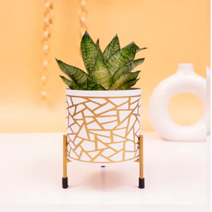 Macetas de Metal modernas con soporte, macetas decorativas pequeñas y grandes de hierro, suministros de jardín para colgar en el suelo, venta al por mayor - Product Image 1