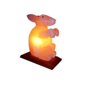 Meilleures ventes de lampes au sel en forme d'animal fabriquées à la main sur mesure paquet complet nouveau design de lampes au sel de l'Himalaya en forme d'animal - Product Image 5