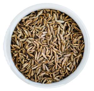 เมล็ดยี่หร่าคุณภาพยุโรปบริสุทธิ์ 99% บรรจุภัณฑ์แบบขายส่ง ยี่ห้อ RGPL ผลิตโดย RADIANCE อายุการเก็บรักษา 1 ปี ใช้สำหรับปรุงรส - Product Image 2