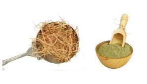 Vetiveria Zizanioides Khas Root Powder Ushira <b>Dried</b> Vetiver Root Ramacham <b>Dried</b> Raw Herbs Wholesale <b>Plant</b> Extract Herbal Product - Product Image 3