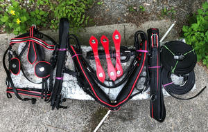 Premium Custom Pure Leather Horse Driving <b>Harness</b> Full Size Leather Horse Driving <b>Harness</b> With Red Trim - Product Image 2