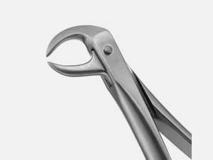 UL Amin คีมถอนฟันสแตนเลส #86 B สำหรับฟันกรามล่างที่ผ่านการรับรอง CE - Product Image 3