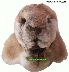 Peluche bébé alpaga marmotte Ppunchay du Pérou, douce, jolie et mignonne - Product Image 3