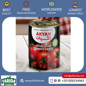 Chất lượng cao 28% 30% Ai Cập Xuất xứ tự nhiên ngon cà chua dán nóng bán gia vị gia vị nước sốt từ công ty đáng tin cậy - Product Image 4