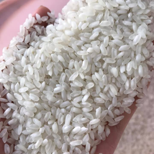 Alta calidad orgánica Calrose arroz grano medio BOPP PAPE bolsa Destacando la calidad vietnamita exportación barata al por mayor - Product Image 5