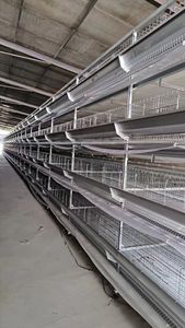 กรงเลี้ยงไก่แบบ H อุปกรณ์สำหรับฟาร์มให้อาหารอัตโนมัติ - Product Image 5