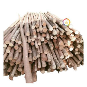 Estacas de Madera Maciza para Jardín, para Soporte de Plantas y Paisajismo - Product Image 6