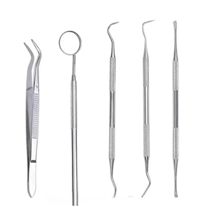 Kit dentaire en acier inoxydable le plus vendu : Miroir, détartreur, pinces, et ensemble d'examen dentaire de base pour l'exploration buccale - Product Image 3