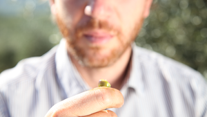 Aceite de Oliva Virgen Extra Pruneti Dop Chianti Classico Prensado en Frío Alto Contenido de Polifenoles Natural Verde Certificado HACCP Sabor Estructurado - Product Image 6