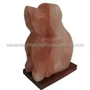 Elegante lámpara hecha a mano de sal del Himalaya en forma de perro con atenuador eléctrico y bombilla Colección exquisita - Product Image 4