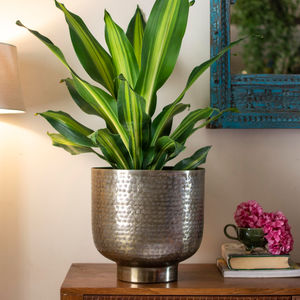 Ensemble de trois pots de fleurs élégants en métal doré antique, texturés, ronds, pour décoration de mariage, pots modernes en stock - Product Image 3