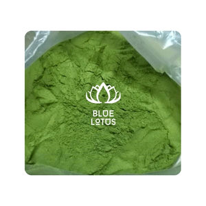 Matcha en Polvo de Alta Calidad, Ideal para Dietas Veganas y como Delicioso Snack Energético para Excursiones al Aire Libre - Product Image 1