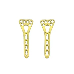 Produsen ortopedi Titanium dokter hewan <span class=keywords><strong>Femur</strong></span> Distal L piring pengunci untuk perbaikan lengan pada anjing dan kucing - Product Image 3