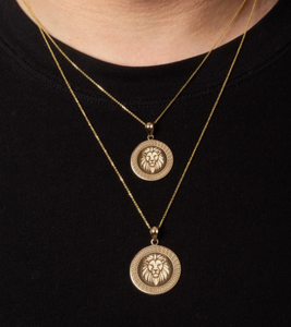 Collar con Colgante de Medallón Griego con Cabeza de León en Acero Inoxidable 316L, Collar de Alta Calidad y Diseño - Product Image 3