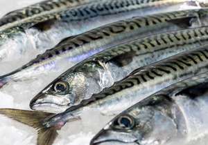 Pescado Entero Congelado de Alta Calidad, 200-400g, Envasado al Vacío - Product Image 4