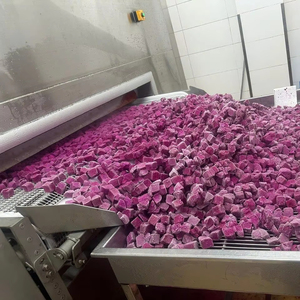 Fruta de dragón congelada de Vietnam de alta calidad procesada con tecnología IQF para exportación a granel - Product Image 1