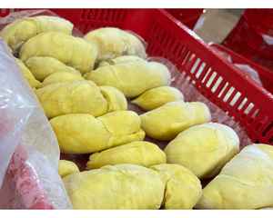 Durian congelé par IQF coupé et emballé dans la chair d'or de Durian congelé par IQF de carton d'exportation utilisée dans l'industrie alimentaire globale - Product Image 3
