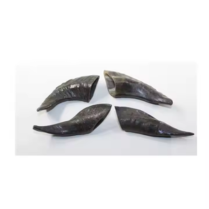 เขาควายใช้ได้ยาวนานสำหรับสุนัขเคี้ยวแกะฮอร์นโรงงานอินเดียคุณภาพน้ำธรรมชาติควายเขาเคี้ยวได้นาน - Product Image 6