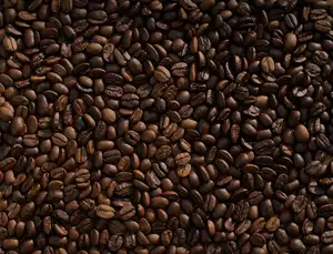 Roasted coffee beans blend BLEND ROSSA EUROCAF espresso barista coffee