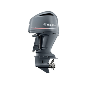 Moteur de bateau haute performance à vente rapide, 25 pouces, à vendre - Product Image 1