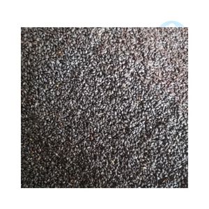 Extrait de plante de basilic à base de plantes de qualité alimentaire graines de basilic vietnamien FOURNISSEUR VIETNAM graine d'ocimum basilicum - Product Image 2