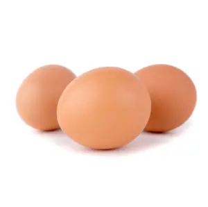 Uova da tavola di pollo fresche biologiche da vendita all'ingrosso