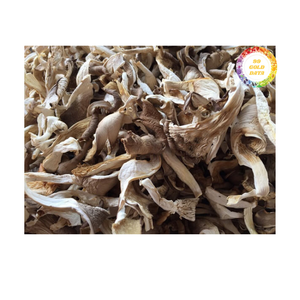 Champignons séchés Ingrédients naturels authentiques du Vietnam pour sauces Cuisson des soupes et distribution mondiale de gros à l'exportation - Product Image 4