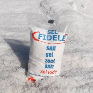 Sal de Mesa Refinada Fidele, Polvo Iodado para Cocinas - Product Image 4