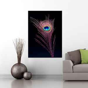 Elegante impresión artística de plumas de pavo real - Lienzo moderno para decoración del hogar, enrollado en lienzo tipo galería - Product Image 1